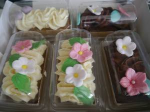 10155860_540641516056097_1866545152470671552_n